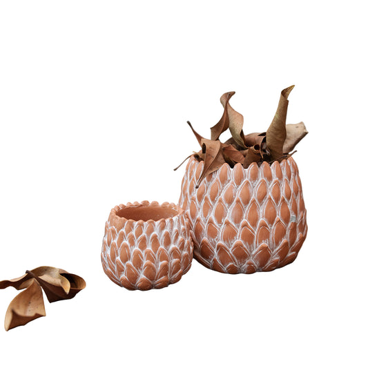 terracotta planter up leaf
