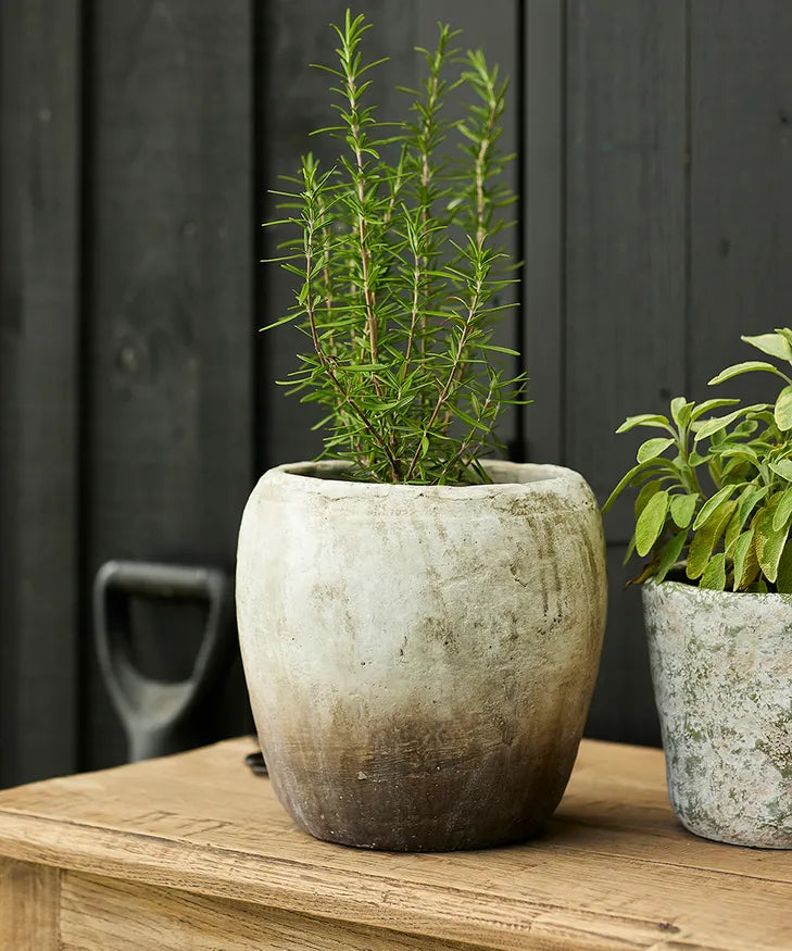 Marron rustic Planter Vase Medium