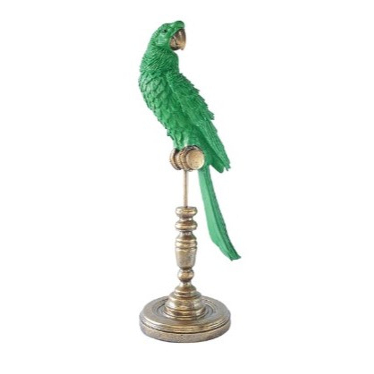 Royale Perroquet - Green Large