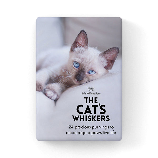 Affirmation Cards The Cat's Whiskers