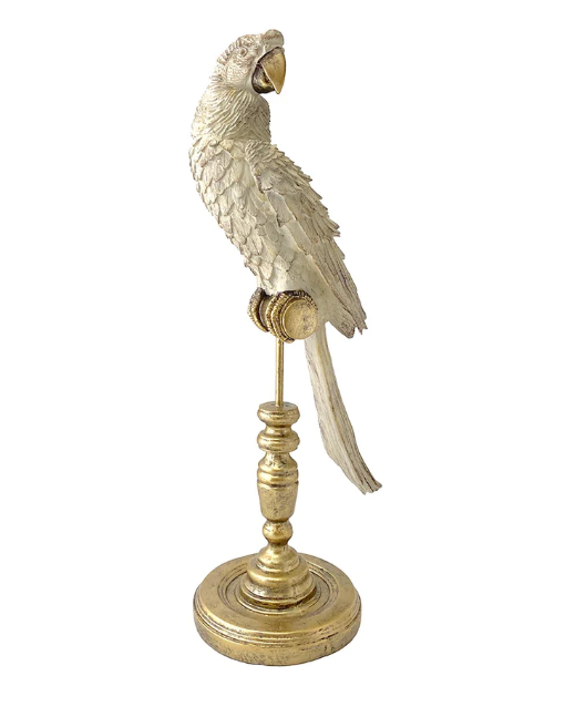 Royale Perroquet - Large