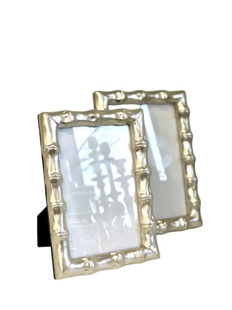 Bamboo Chunky Silver Frame 4x6