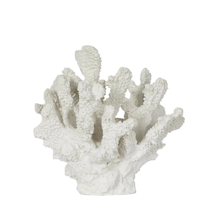 Bay White Coral polyresin