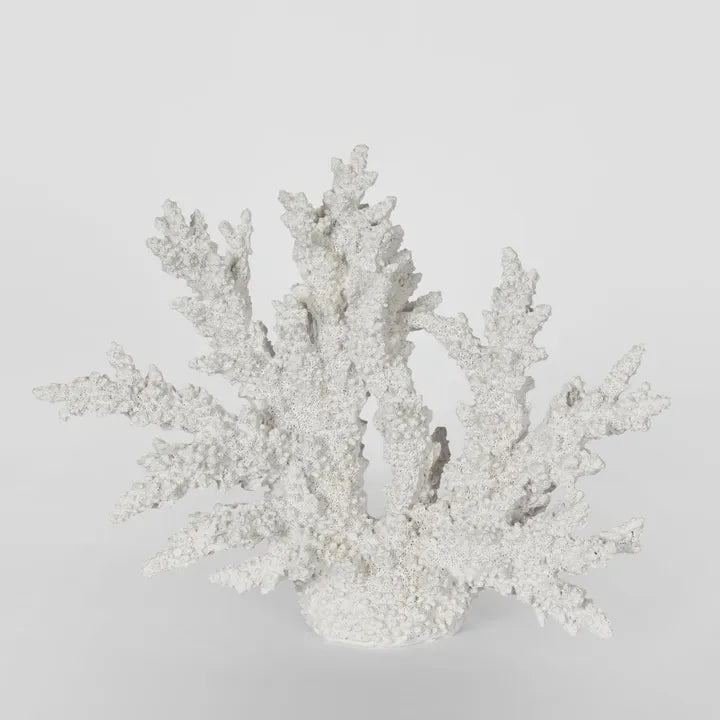 Delmar White Coral