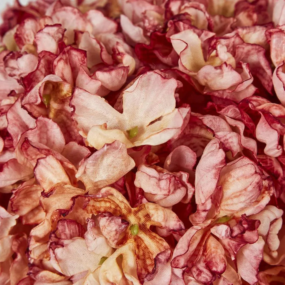 Dried Pink Hydrangea Bundle