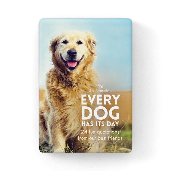 Every Dog Has It`s Day 24 affirmation cards + stand