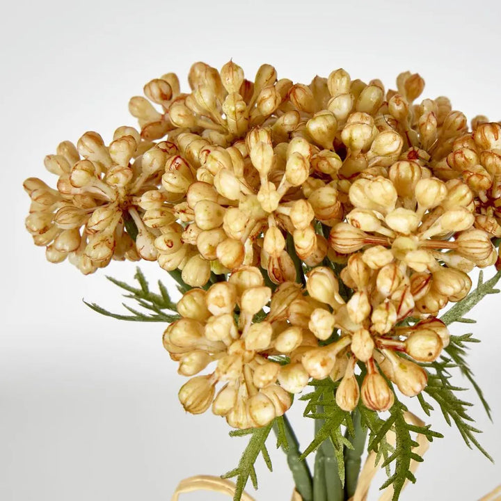 Fruit Berry Bundle - Yellow