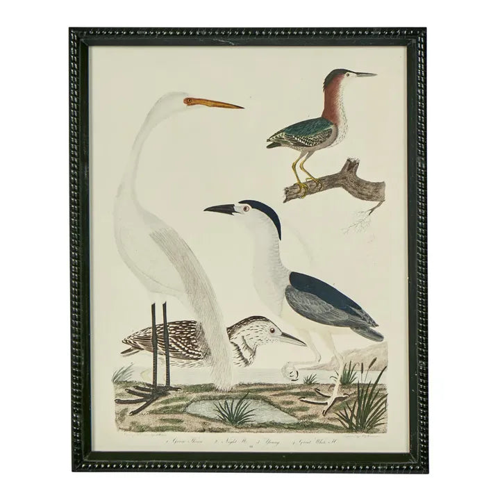 Graceful Cranes Wall Art 4 birds, black frame
