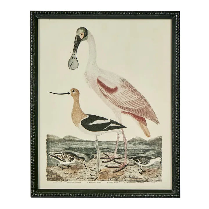 Graceful Cranes Wall Art Print, black frame