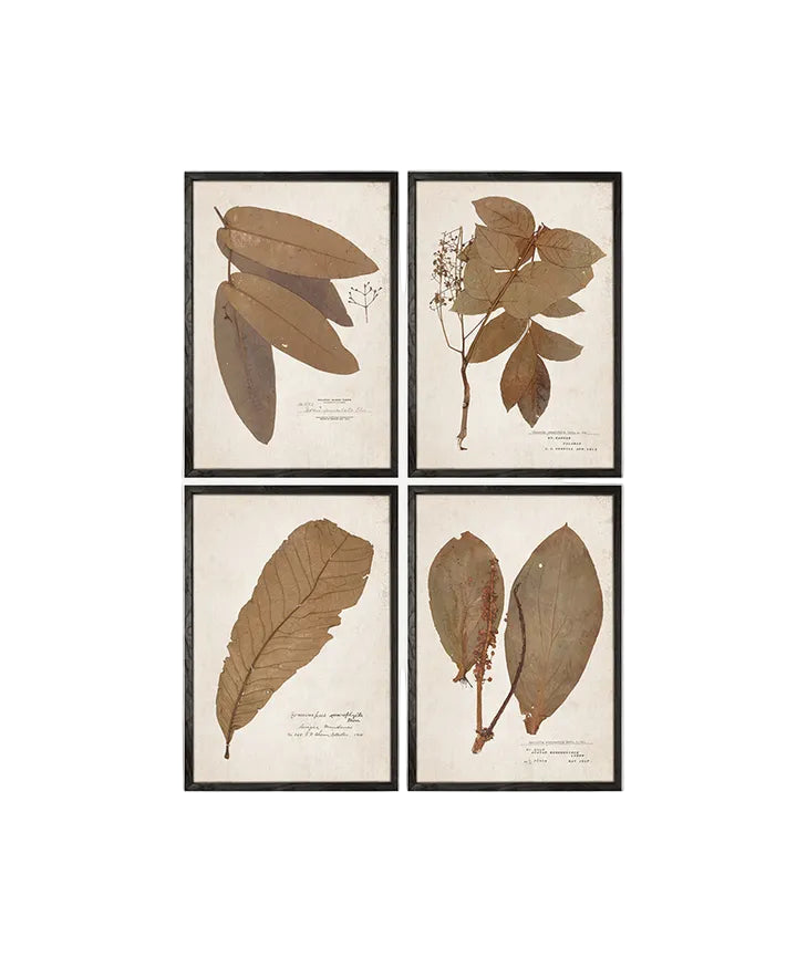 Leaf wall art with black frame 4 pieces
