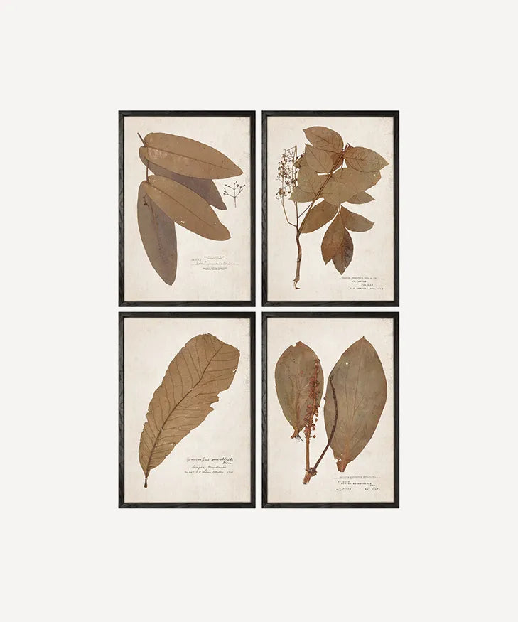 Leaf Wall Art (4PC)