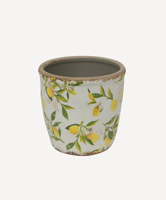 Lemon Pot - Large