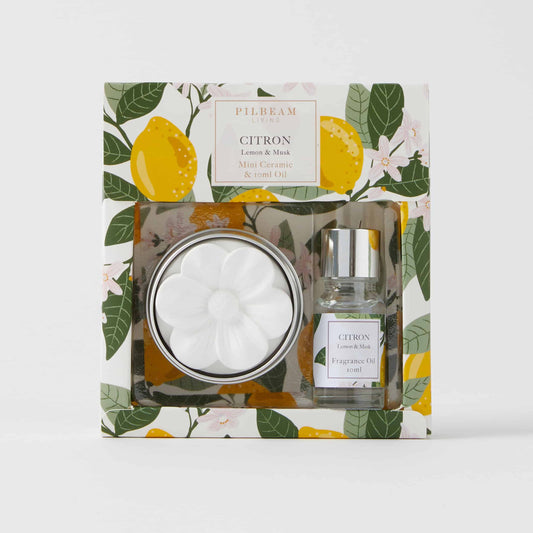 Lemon Scented Disc Gift Set