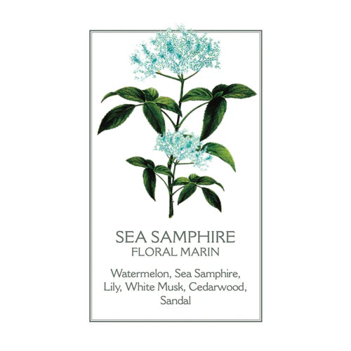 Panier des Sens Sea Samphire Scented Candle