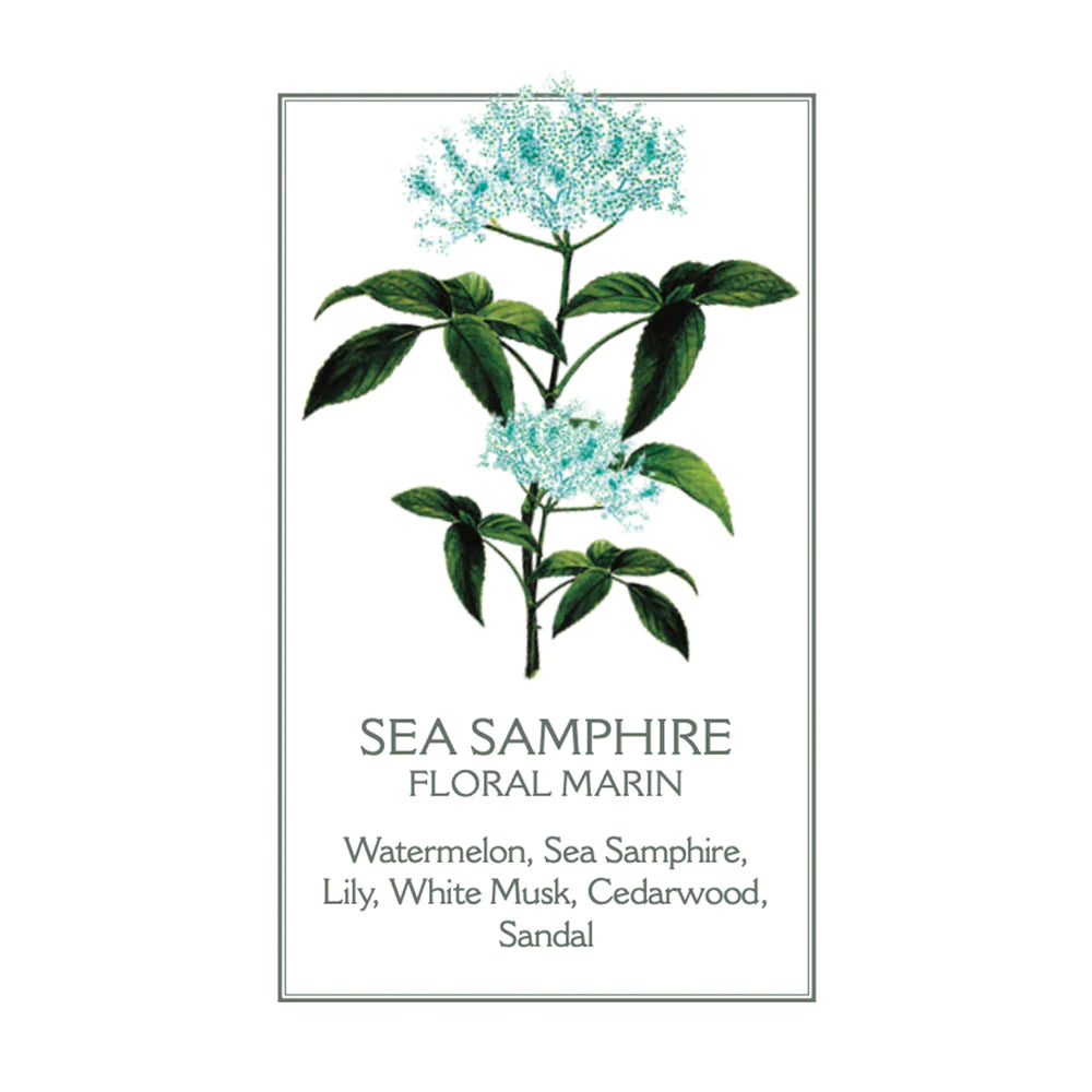 Panier des Sens Sea Samphire Liquid Marseille Soap