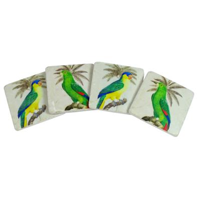 Parrot Coasters Set 4