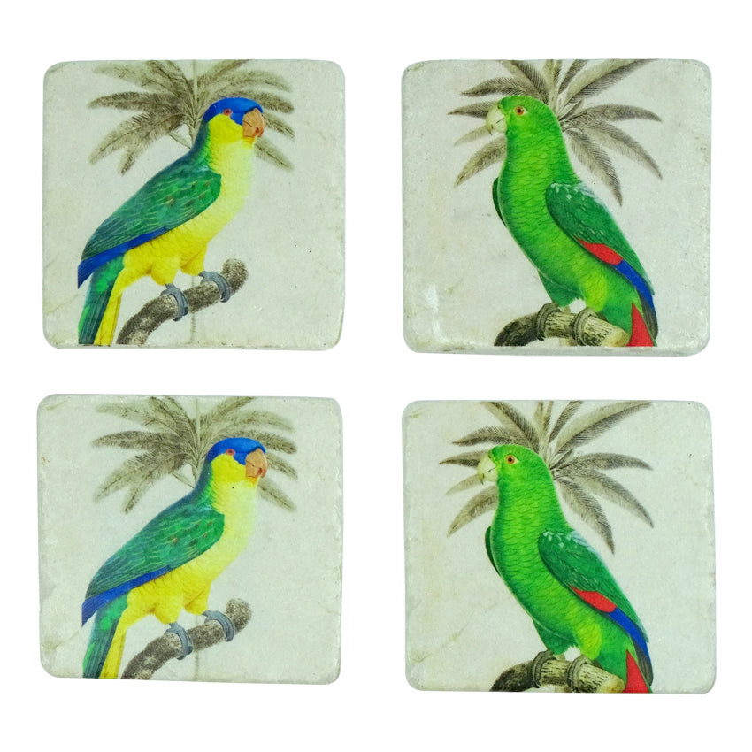 Parrot Coasters Set 4