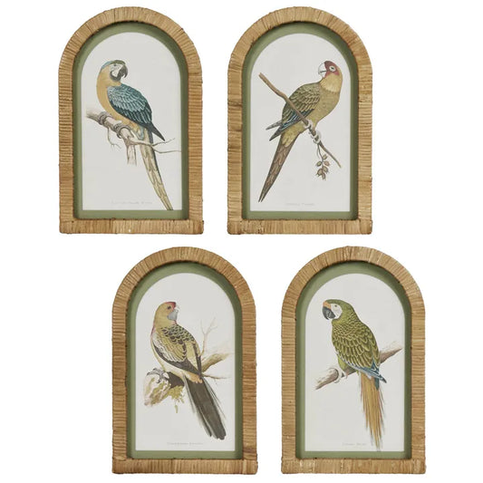 Parrots Wall Art Set of 4