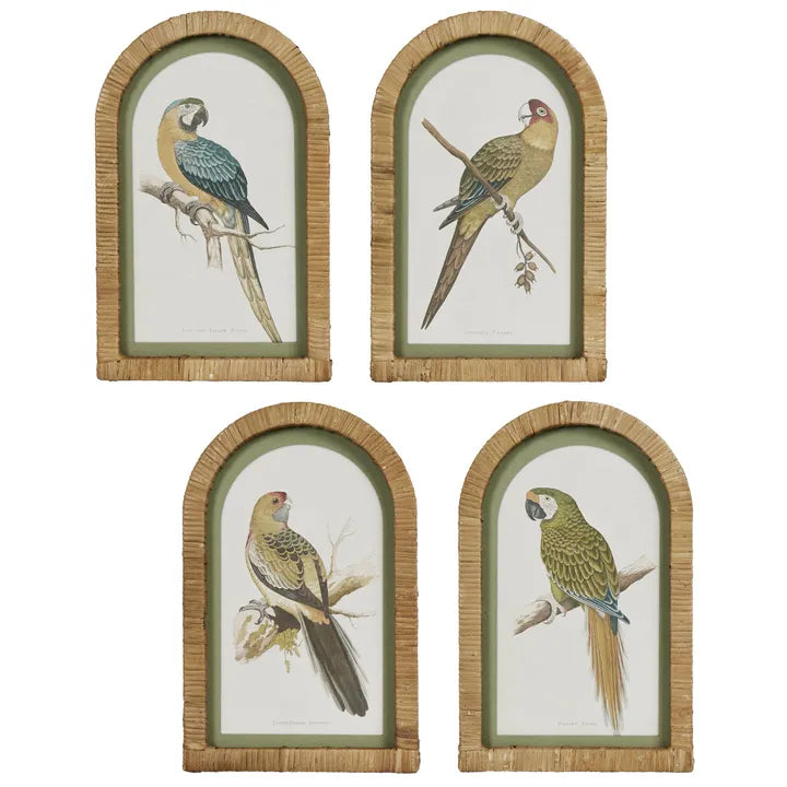Parrots Wall Art Set of 4 Rattan frame arch