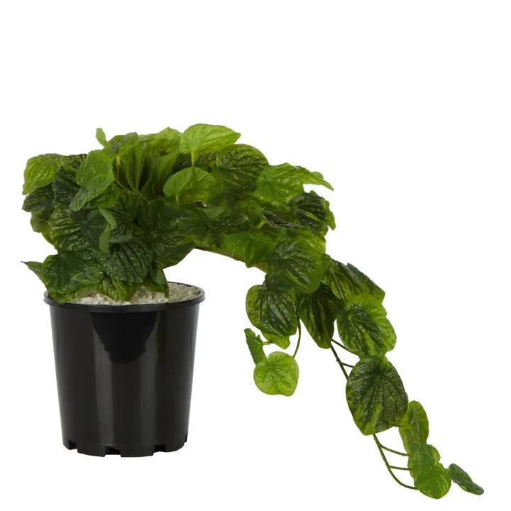 artificial Pepperoni vine Spray in Black Pot