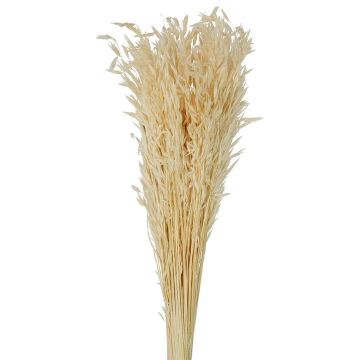 Artificial Wheat Reserved Bunch - Cream