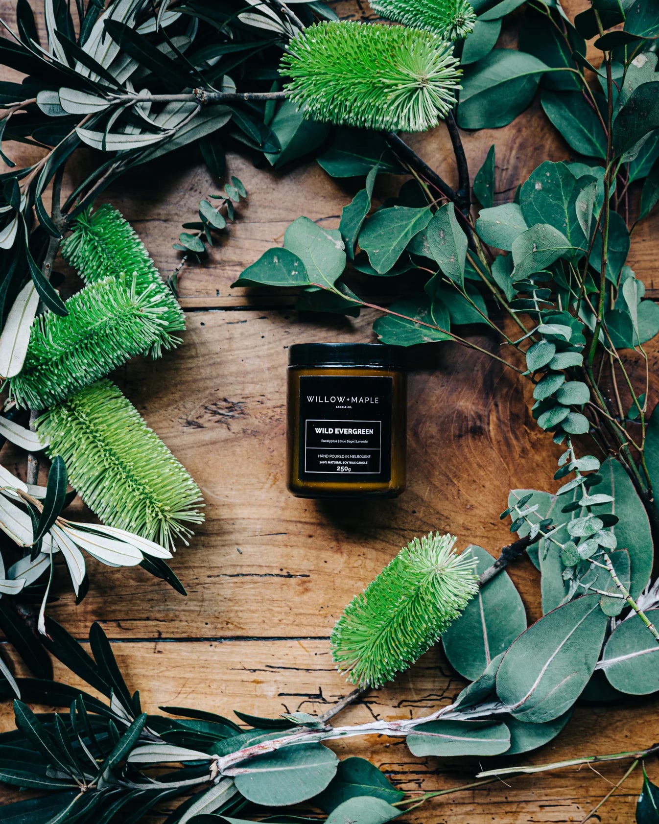 Willow + Maple Wild Evergreen Candle