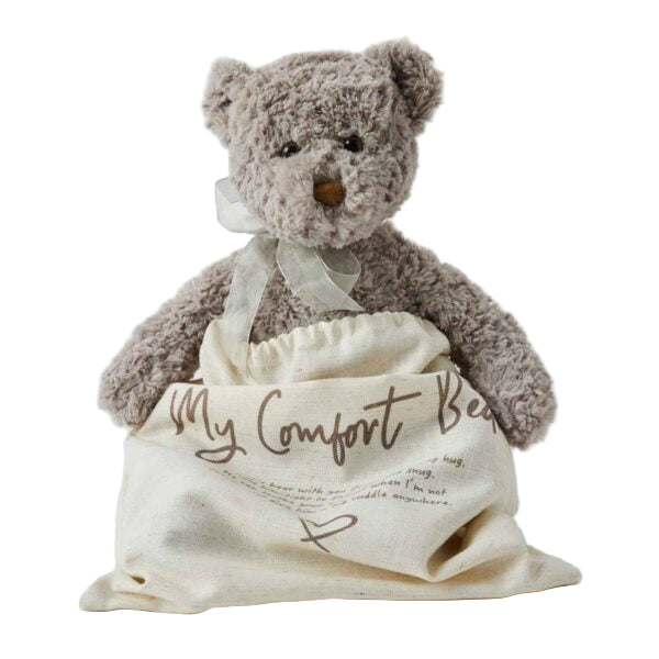 plush teddy in gift bag, perfect gift for newborn or children