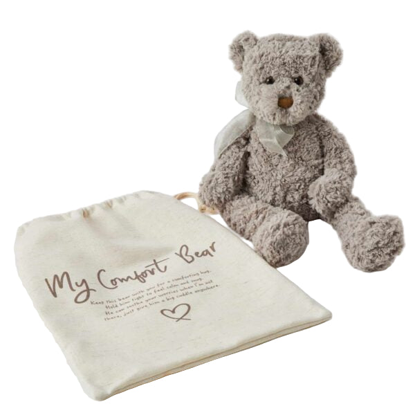 comforter bear with matching gift bag. Perfect gift for children