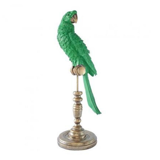 Royale Perroquet  - Green Large