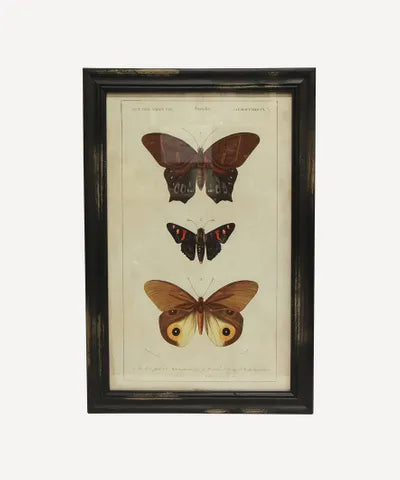 Butterfly Wall Art 1