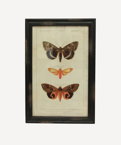 Butterfly Wall Art 2